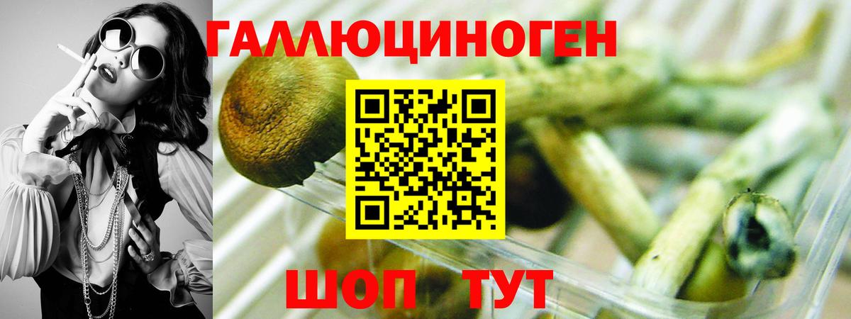 Псилоцибиновые грибы GOLDEN TEACHER  Вход с VPN  Бугуруслан 